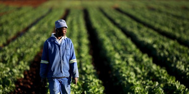 Agriculture et digitalisation : le Maroc exporte son savoir-faire en Afrique