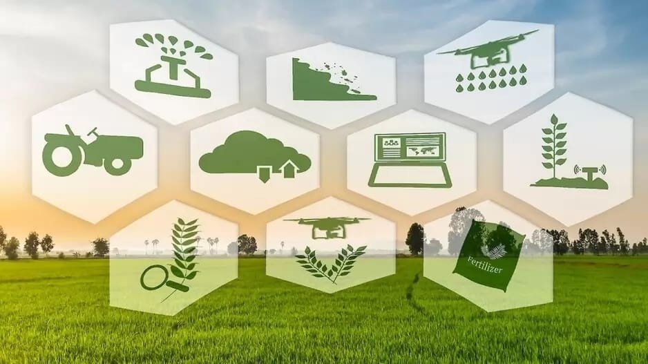 AGRIPAGES : La Plateforme Digitale pour Favoriser une Agriculture Marocaine Prospère et Durable
