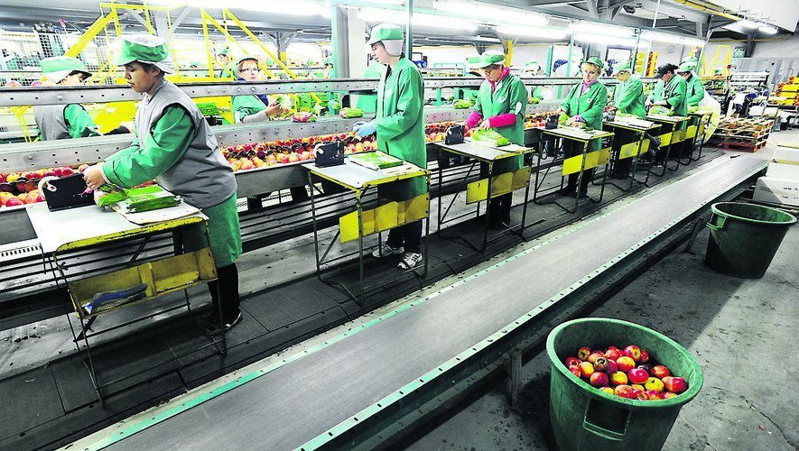 Agro-alimentaire: les opportunités d’investissement à Rabat
