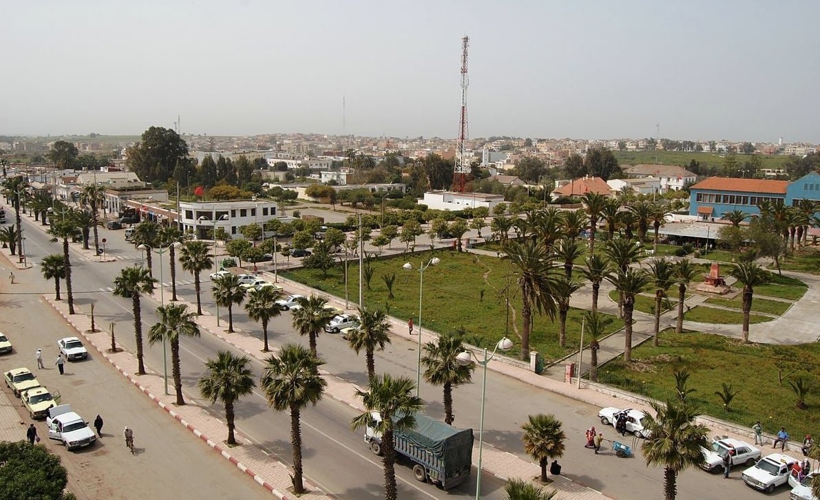"Alerte Écologique : "Maroc Environnement 2050" Contre la Plantation de Palmiers Étrangers"