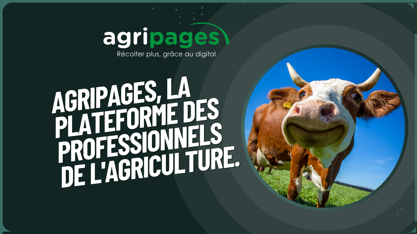 Découvrez Agripages : L'Annuaire Numérique Révolutionnant l'Agriculture au Maroc