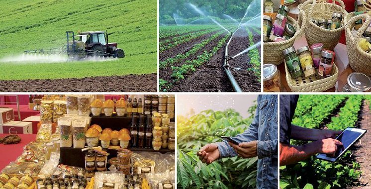 Un syndicat agricole exhorte le gouvernement espagnol à restreindre l'accès des produits marocains.