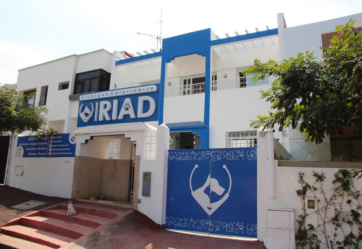 Photo 1 de Clinique Vétérinaire Riad